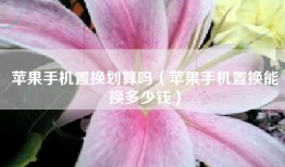 苹果手机置换划算吗（苹果手机置换能换多少钱）