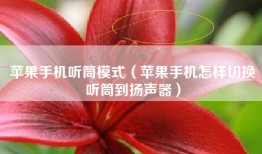 苹果手机听筒模式（苹果手机怎样切换听筒到扬声器）