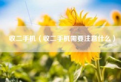 收二手机（收二手机需要注意什么）