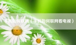 手机如何联网（手机如何联网看电视）