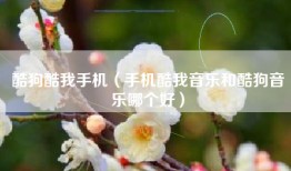 酷狗酷我手机（手机酷我音乐和酷狗音乐哪个好）