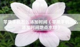 苹果手机怎么添加时间（苹果手机怎么添加时间地点水印）