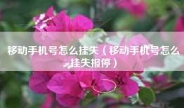 移动手机号怎么挂失（移动手机号怎么挂失报停）