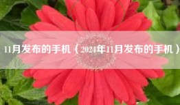 11月发布的手机（2024年11月发布的手机）