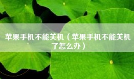 苹果手机不能关机（苹果手机不能关机了怎么办）