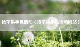 抢苹果手机活动（抢苹果手机活动网站）