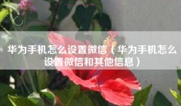 华为手机怎么设置微信（华为手机怎么设置微信和其他信息）