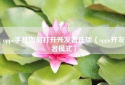 oppo手机如何打开开发者选项（oppo开发者模式）