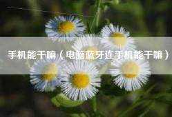 手机能干嘛（电脑蓝牙连手机能干嘛）