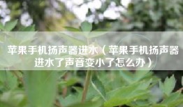 苹果手机扬声器进水（苹果手机扬声器进水了声音变小了怎么办）