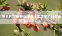 手机如何查看wifi密码（苹果手机如何查看wifi密码）