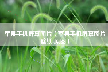 苹果手机屏幕图片（苹果手机屏幕图片壁纸 原图）