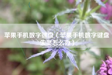 苹果手机数字键盘（苹果手机数字键盘失灵怎么办）