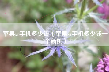 苹果xr手机多少钱（苹果xr手机多少钱一个新机）