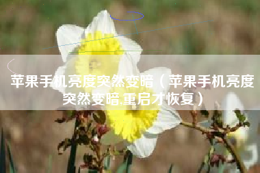 苹果手机亮度突然变暗（苹果手机亮度突然变暗,重启才恢复）