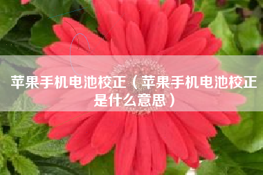 苹果手机电池校正（苹果手机电池校正是什么意思）