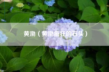 黄渤（黄渤疯狂的石头）