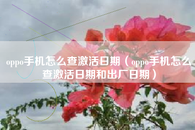 oppo手机怎么查激活日期（oppo手机怎么查激活日期和出厂日期）