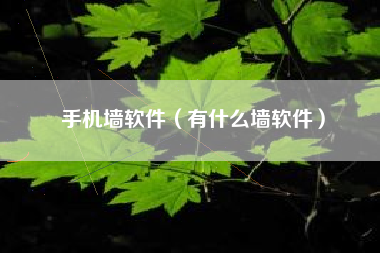 手机墙软件（有什么墙软件）