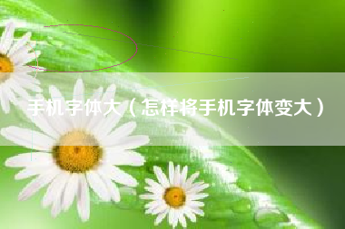 手机字体大（怎样将手机字体变大）